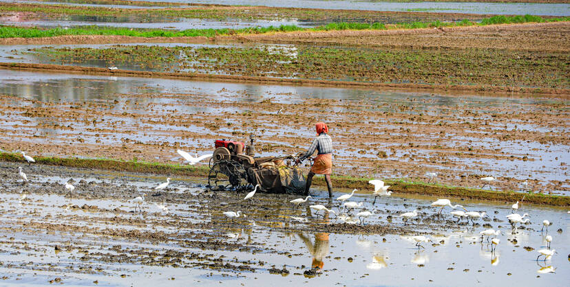 Kerala Kaumudi Photo Gallery