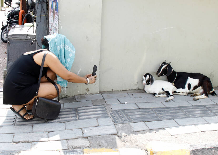 Kerala Kaumudi Photo Gallery