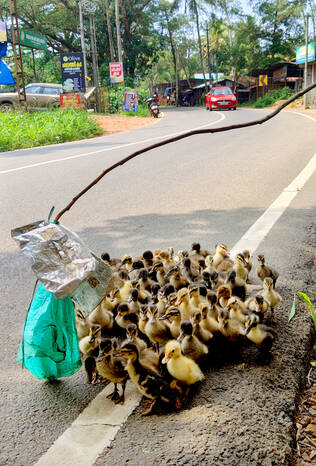 Kerala Kaumudi Photo Gallery