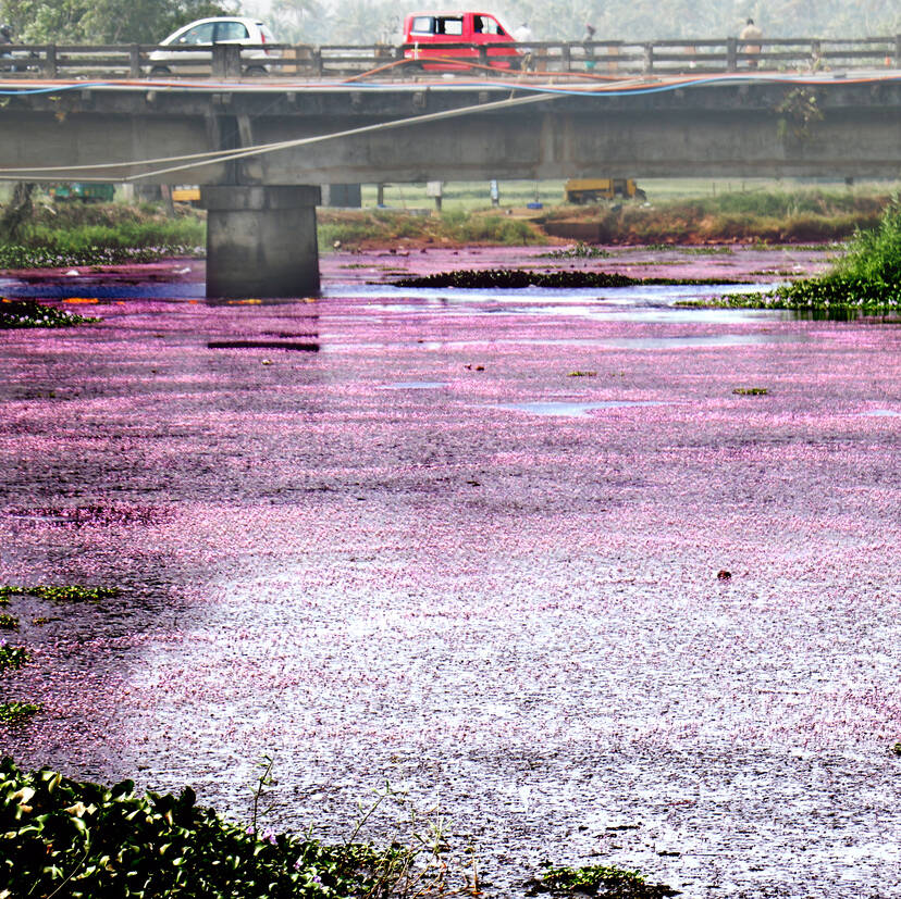Kerala Kaumudi Photo Gallery