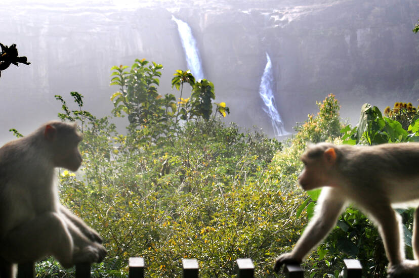 Kerala Kaumudi Photo Gallery