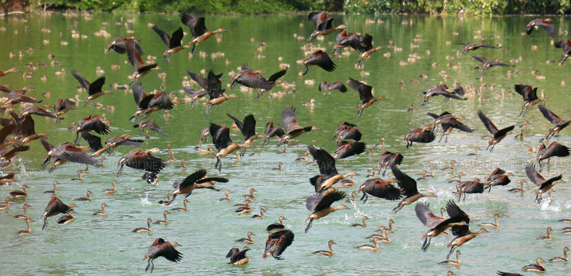 Kerala Kaumudi Photo Gallery