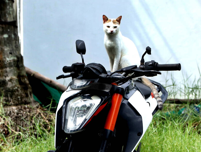 Kerala Kaumudi Photo Gallery