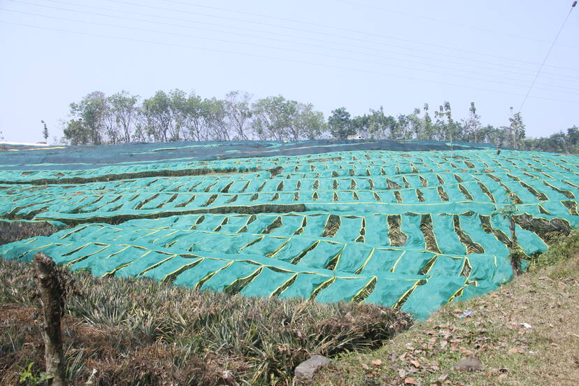 Kerala Kaumudi Photo Gallery