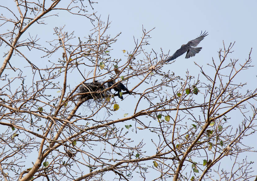 Kerala Kaumudi Photo Gallery