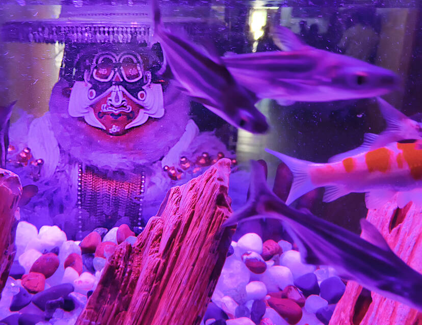 Kerala Kaumudi Photo Gallery