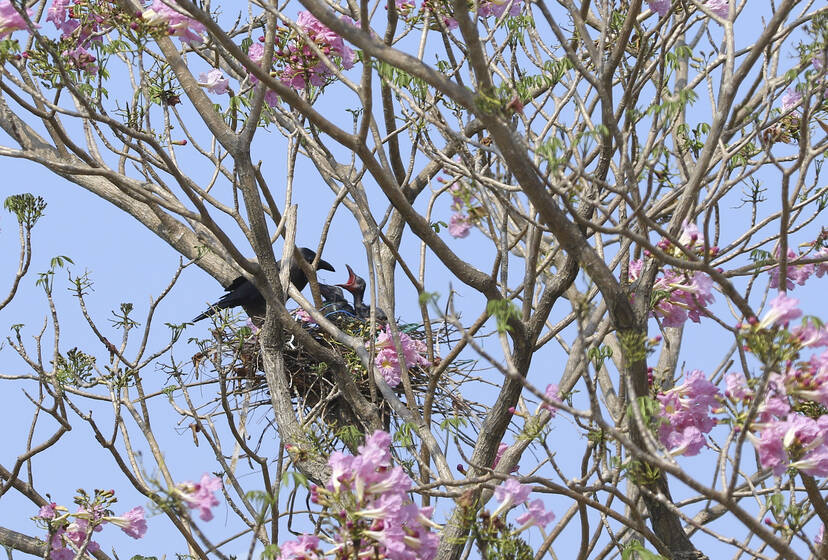 Kerala Kaumudi Photo Gallery