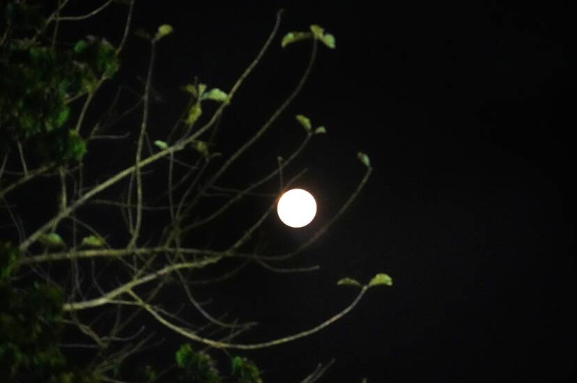 Kerala Kaumudi Photo Gallery