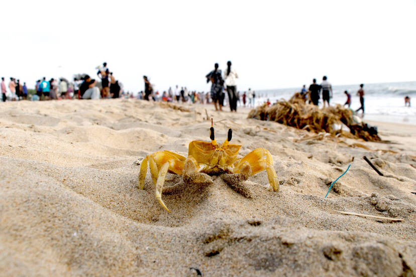 Kerala Kaumudi Photo Gallery