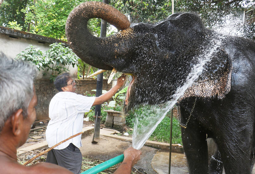 Kerala Kaumudi Photo Gallery