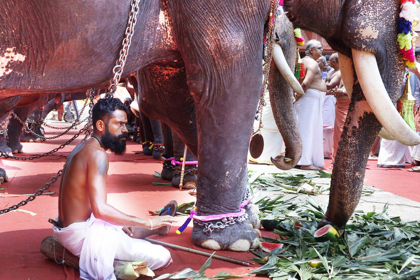 Kerala Kaumudi Photo Gallery