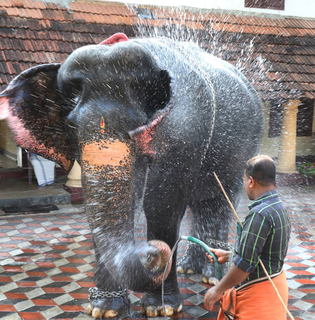 Kerala Kaumudi Photo Gallery