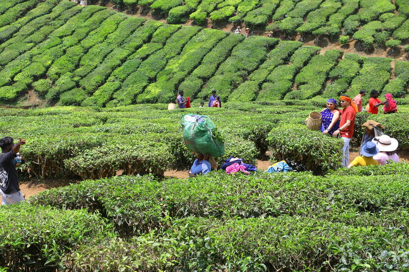 Kerala Kaumudi Photo Gallery