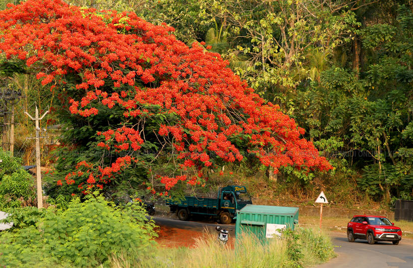 Kerala Kaumudi Photo Gallery