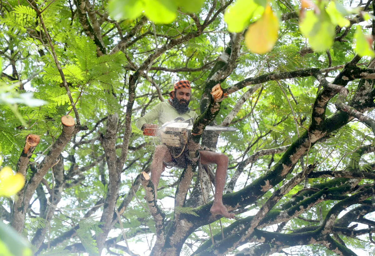 Kerala Kaumudi Photo Gallery