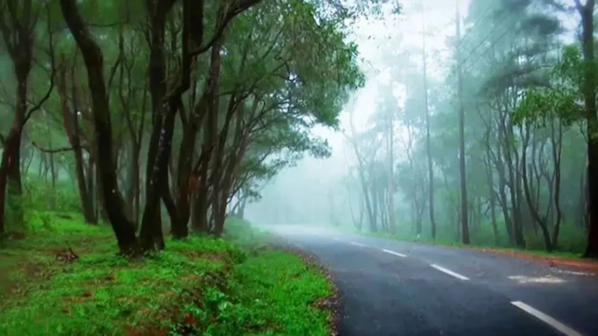 road-condition road-condition