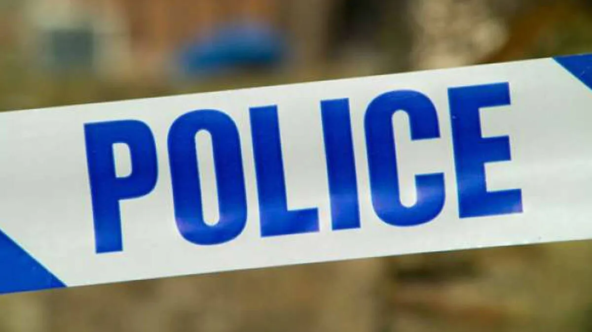 police police
