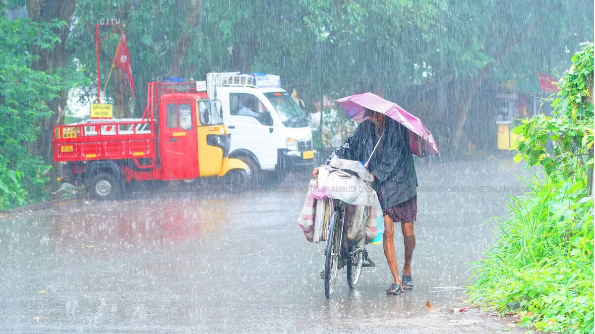 rain rain