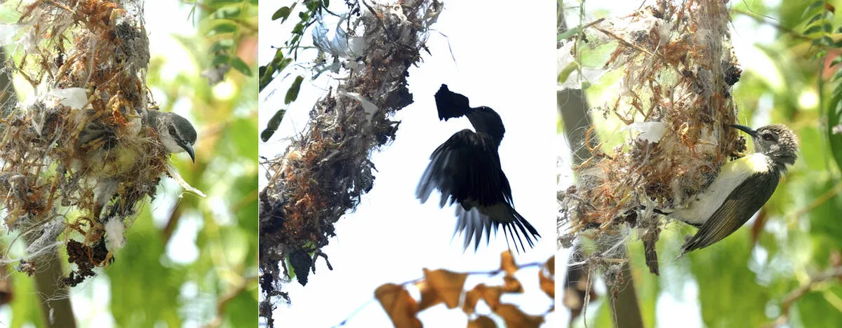 Kerala Kaumudi Photo Gallery