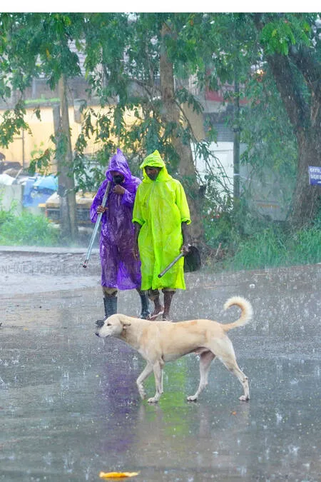 Kerala Kaumudi Photo Gallery