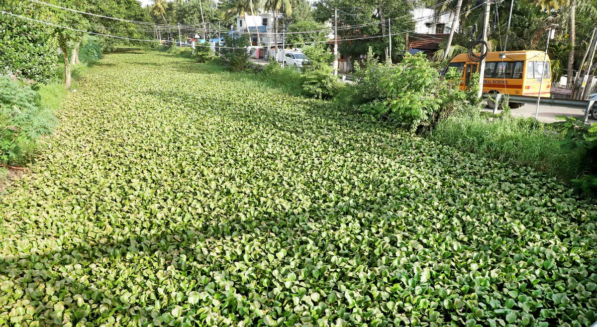 Kerala Kaumudi Photo Gallery