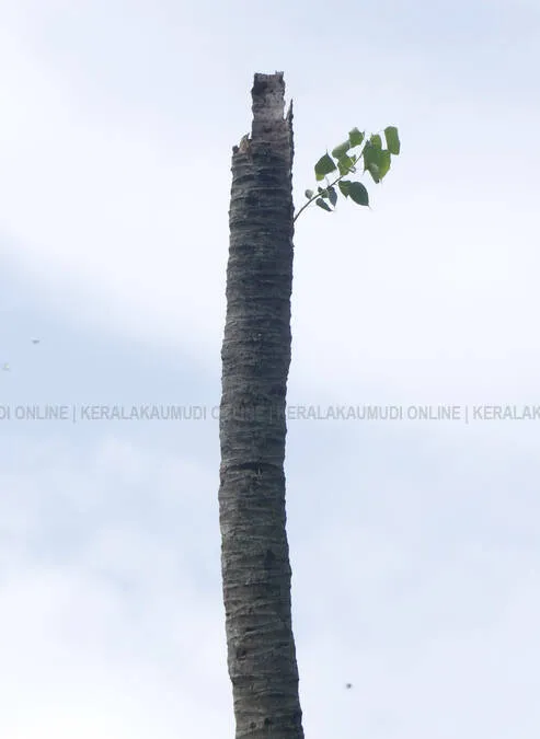 Kerala Kaumudi Photo Gallery