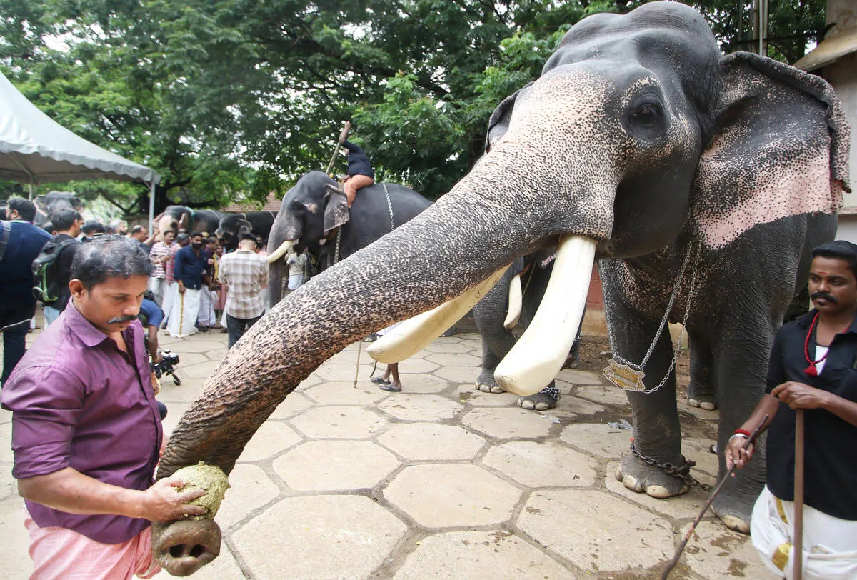 Kerala Kaumudi Photo Gallery