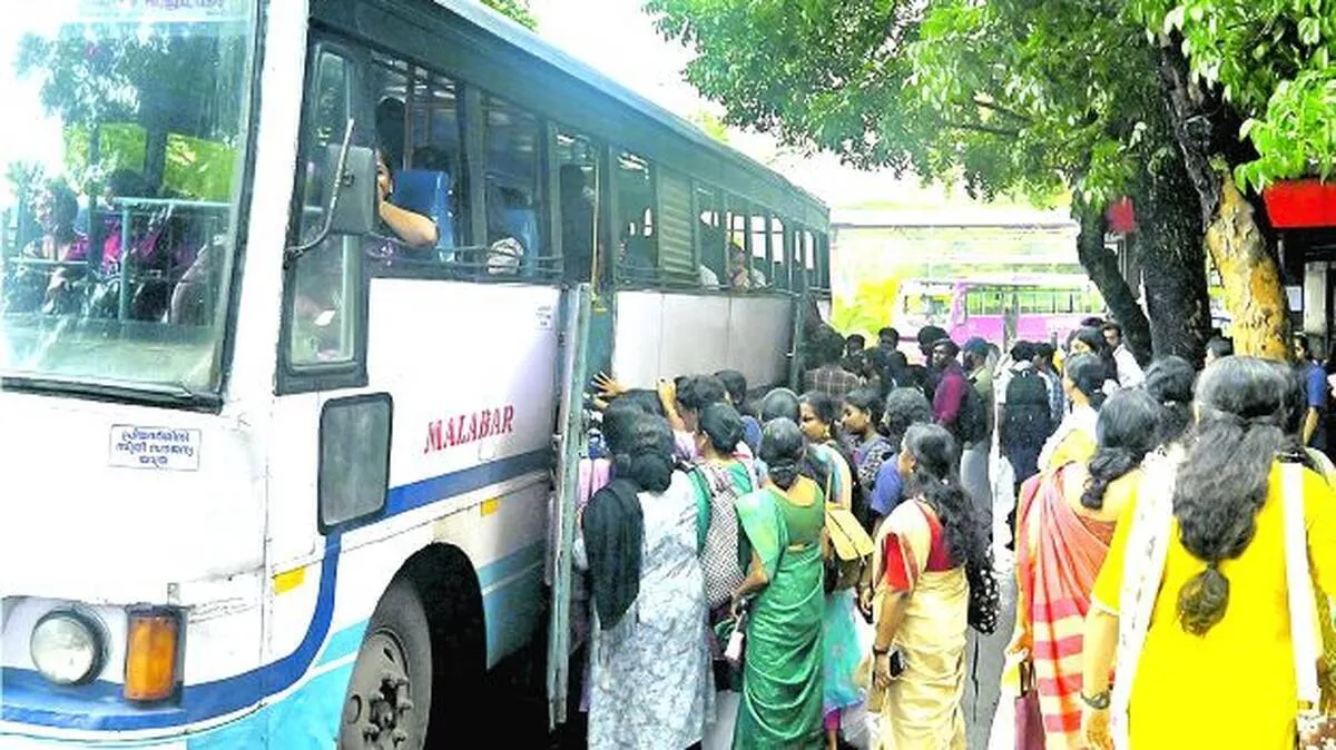 bus bus