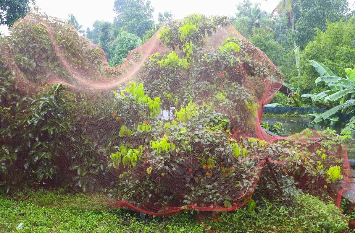 Kerala Kaumudi Photo Gallery