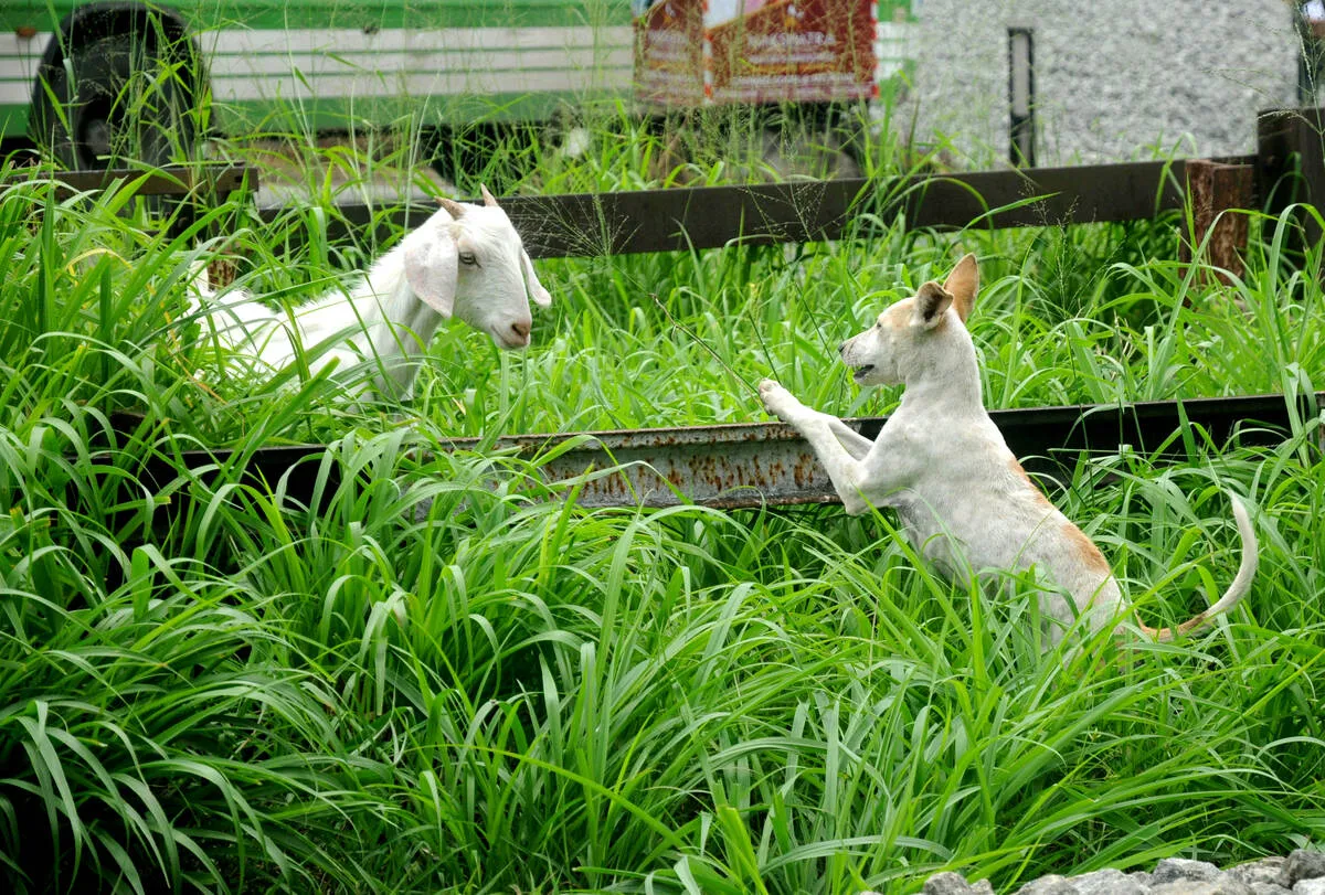 Kerala Kaumudi Photo Gallery