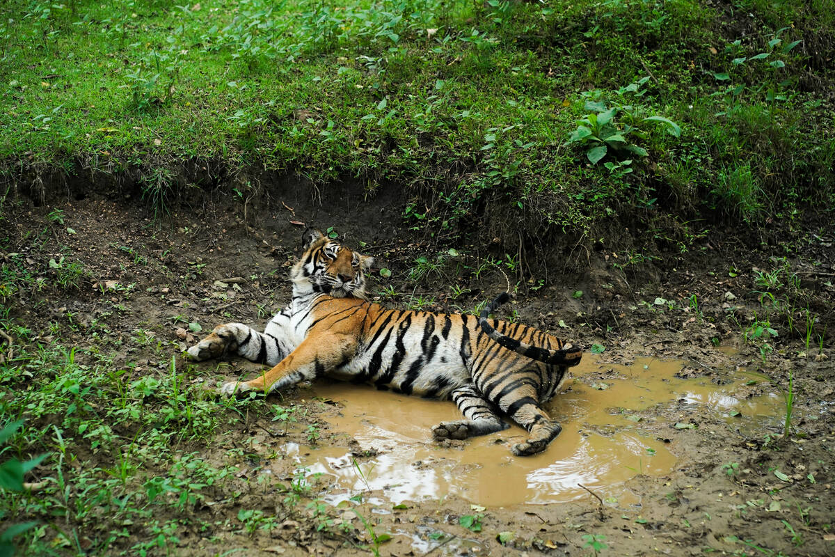 Kerala Kaumudi Photo Gallery