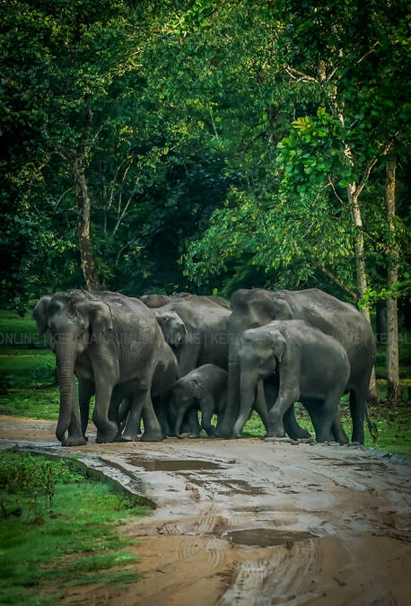 Kerala Kaumudi Photo Gallery