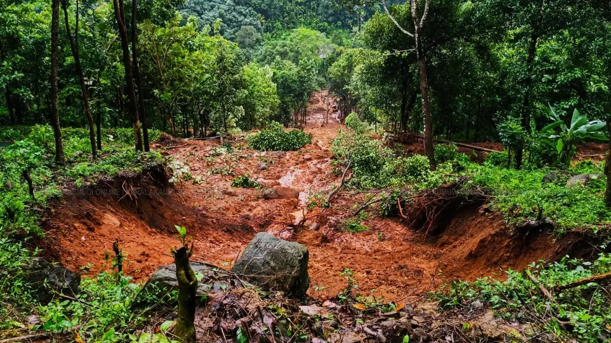 ഈരാറ്റുപേട്ട പൂഞ്ഞാർ പയ്യാനിത്തോട്ടത്ത് രണ്ടുപേരുടെ മരണത്തിനിടയായ ഉരുൾ പൊട്ടലിൻ്റെ ഉത്ഭവസ്ഥാനം. ഫോട്ടോ: സെബിൻ ജോർജ്ജ്