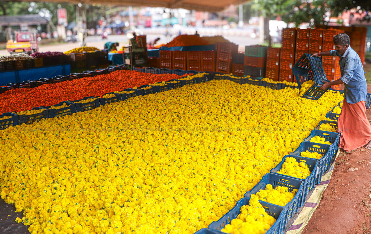 Kerala Kaumudi Photo Gallery