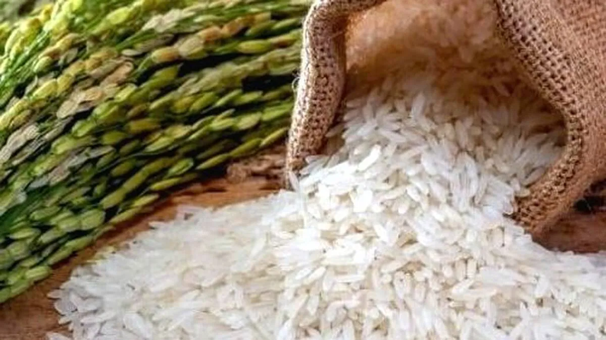 aa aa