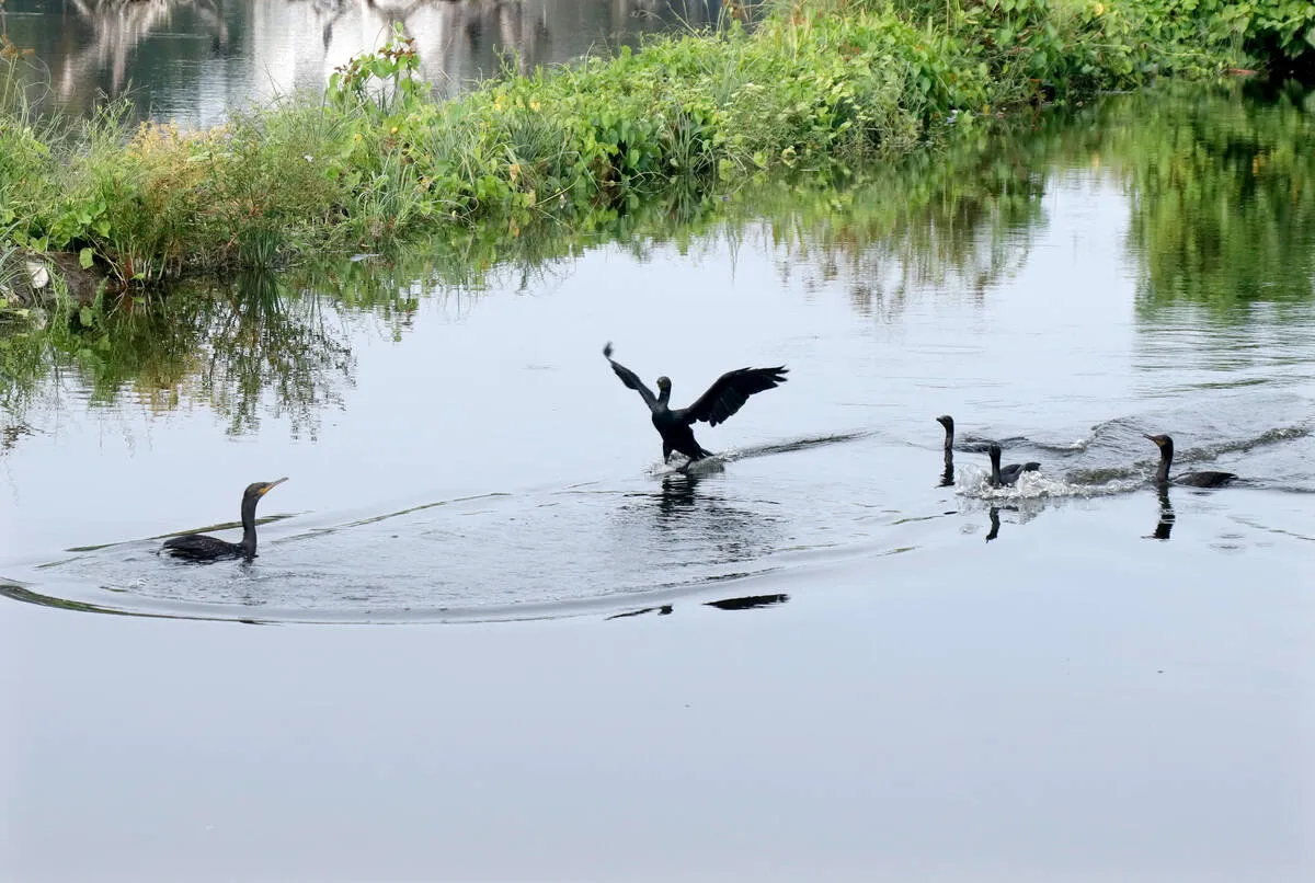 Kerala Kaumudi Photo Gallery