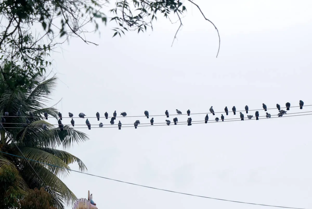 Kerala Kaumudi Photo Gallery