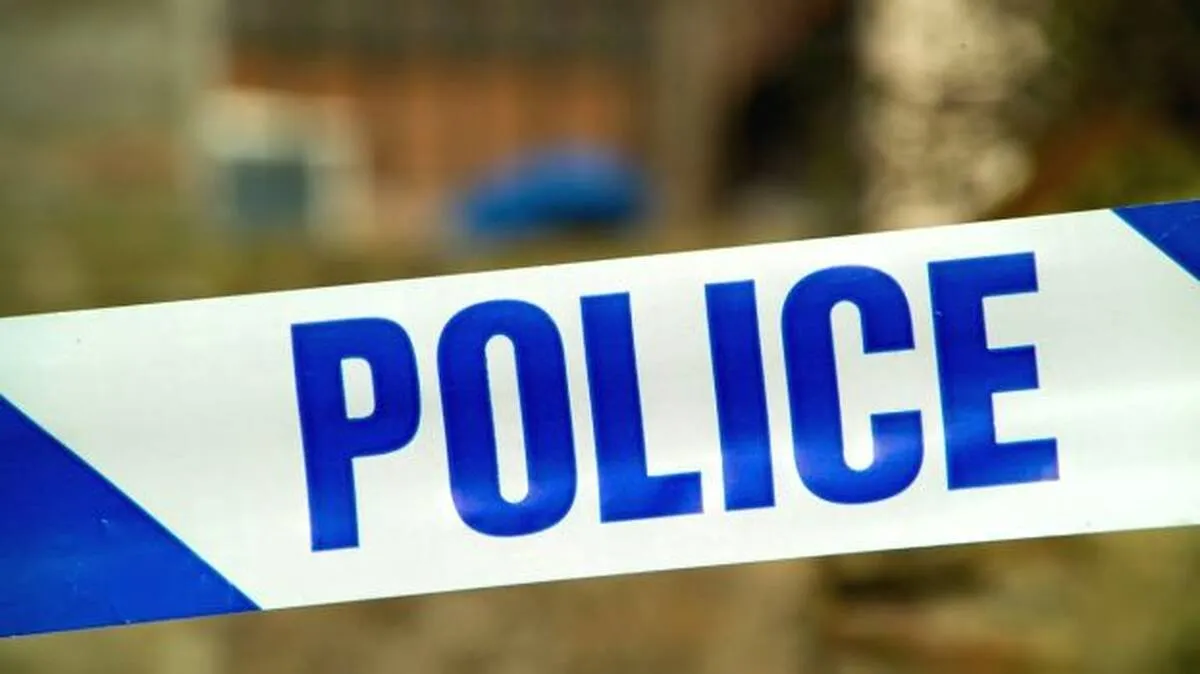 police police
