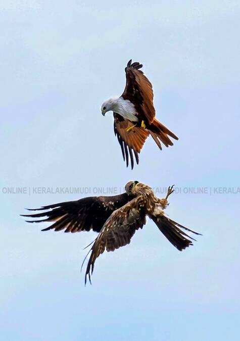 Kerala Kaumudi Photo Gallery