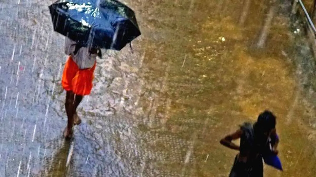 rain rain