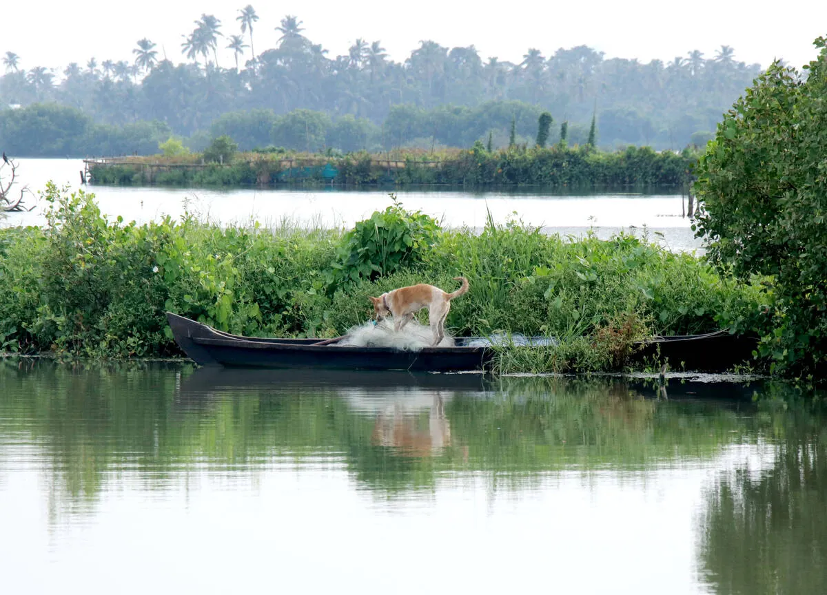Kerala Kaumudi Photo Gallery