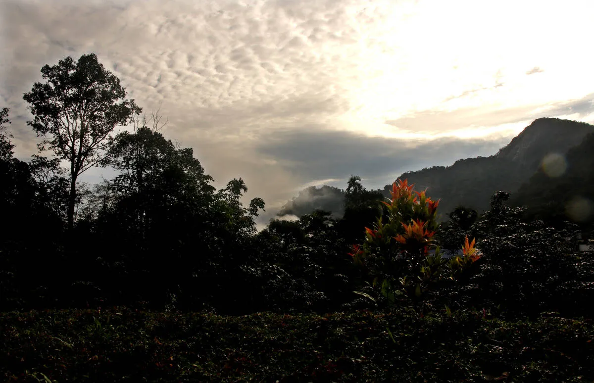 Kerala Kaumudi Photo Gallery