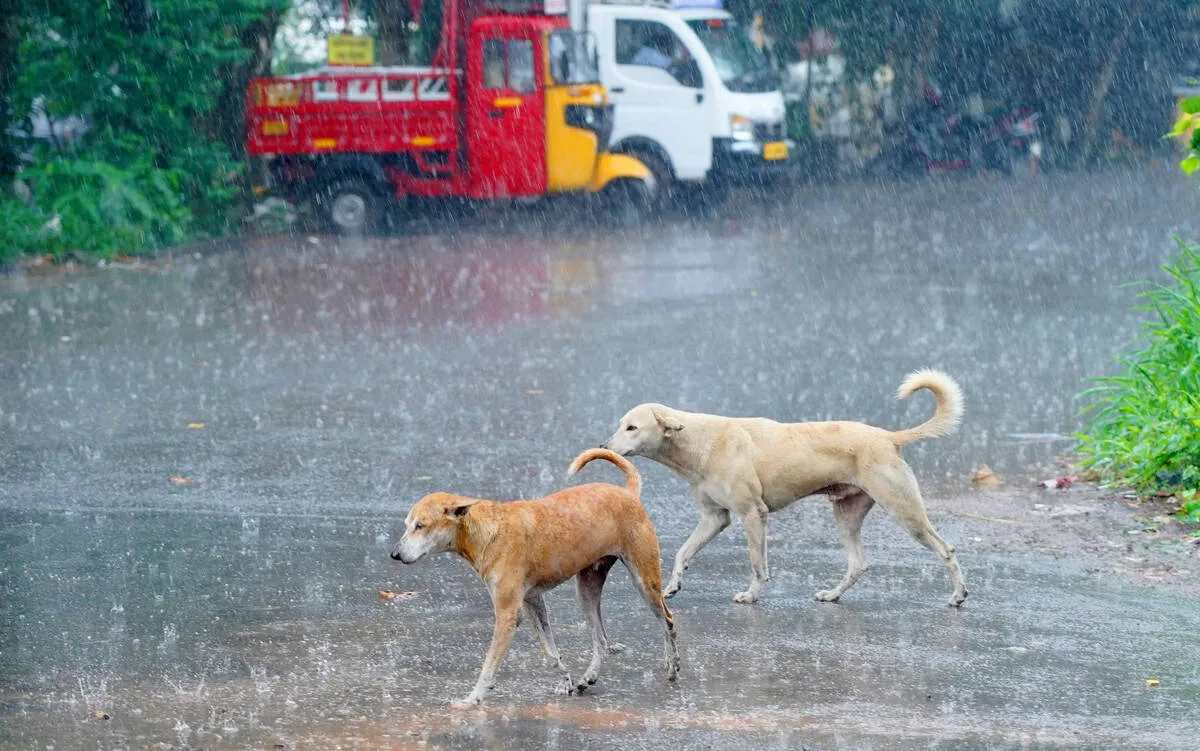 Kerala Kaumudi Photo Gallery