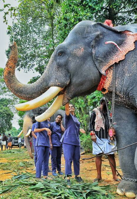 Kerala Kaumudi Photo Gallery