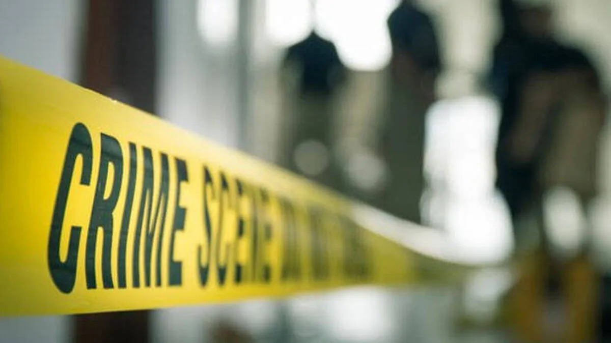 murder murder