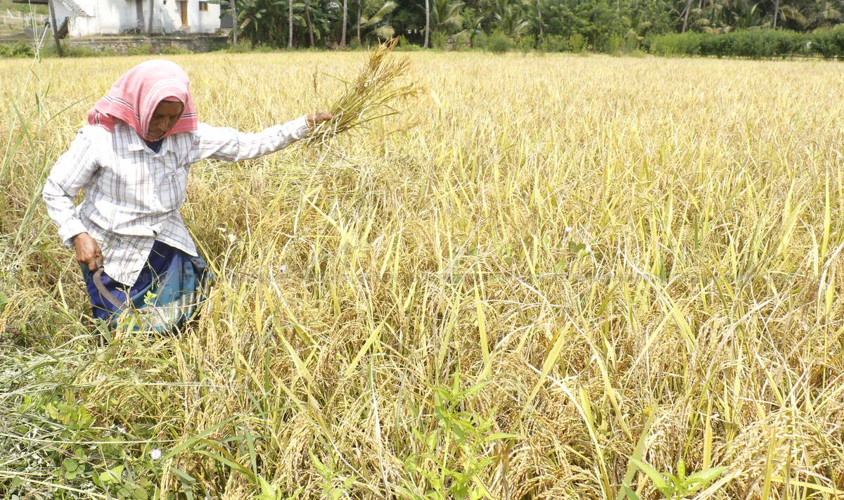 Kerala Kaumudi Photo Gallery