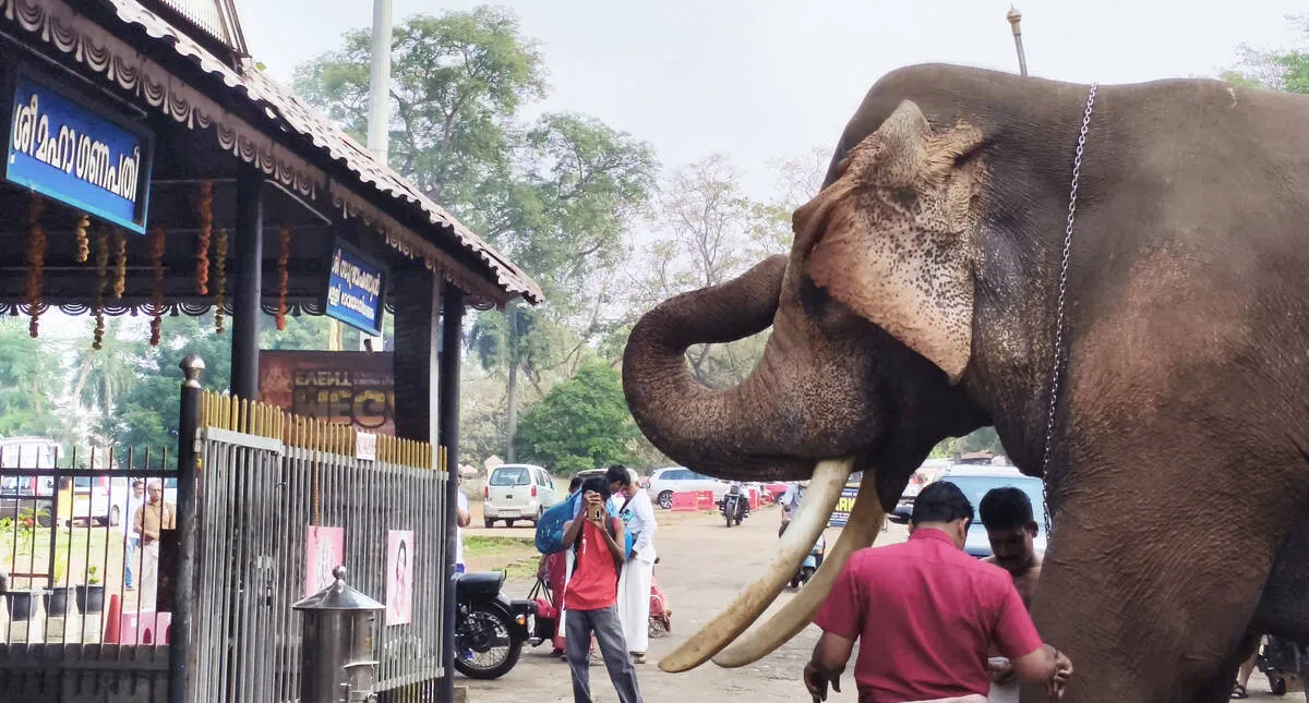 Kerala Kaumudi Photo Gallery
