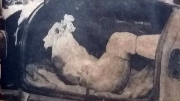 rani-padmini