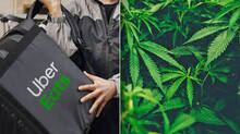 marijuana-