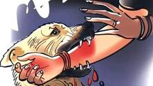 dog-bite-attack